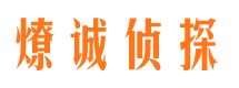 武陵源市调查公司